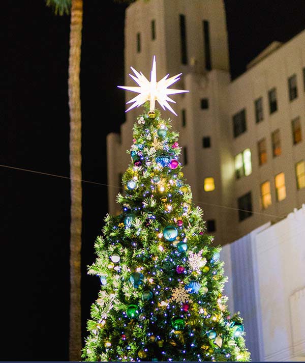 Santa Photos, Christmas Tree, and Decorations at Santa Monica Place